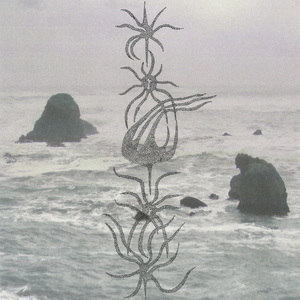 Until the End of the World