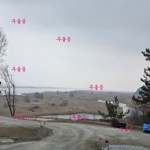 우울증