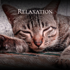 Grand Fillmscore & Soundtrack