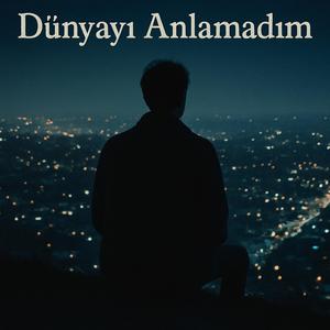 Dünyayı Anlamadım