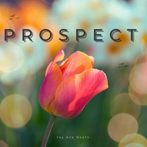 Prospect (Instrumental)