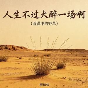 人生不过大醉一场啊（荒漠中的野草）