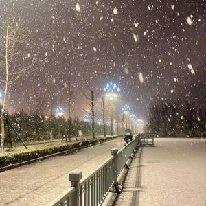 夏日阳光里的灵动之舞