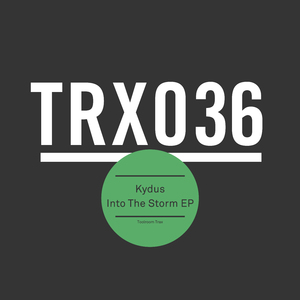 Working It (Original Mix)