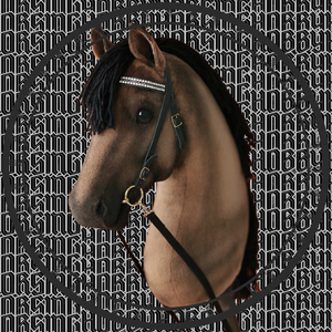 HOBBYHORSING (HOBBYHORSING)