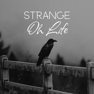 Strange Oh Life (Official)