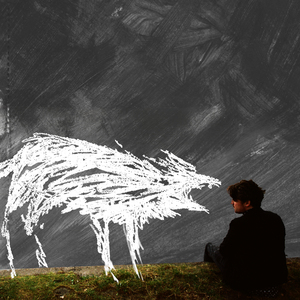 No Conclusion (Live)