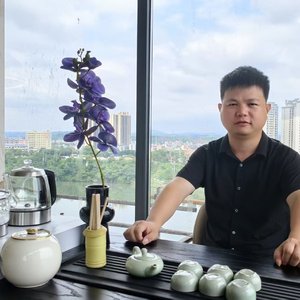 属虎人的风采