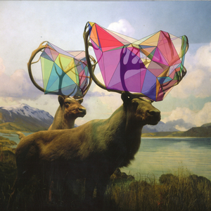 The Echo of Something Lovely (Toby Driver ／ Ted Parsons ／ Colin Marston remix)