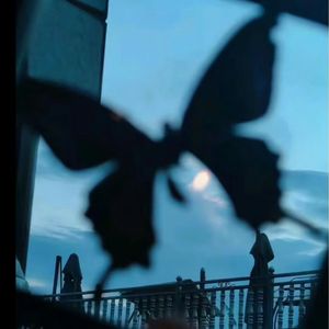 花葬爱 prod.by Morrow x Aye叶师傅