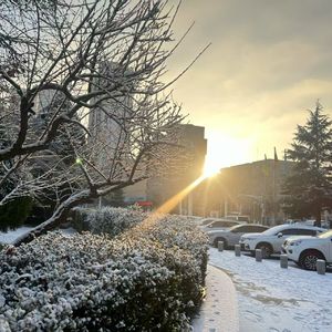 平淡后的雪（Acura Integurl remix）