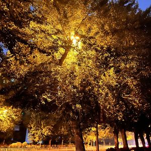 作者（remix高进）