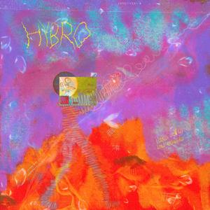 Hybro