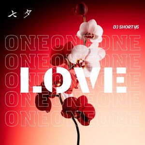 七夕的爱 - DJ Shortys