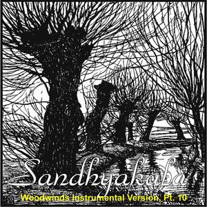 Sandhyakala Woodwinds Instrumental (Acoustic Guitar, A Bass Duduk, A Duduk & G Dizi Version)