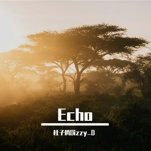 Echo