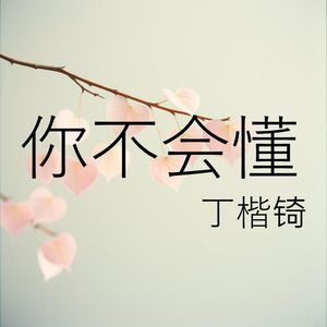 你不会懂
