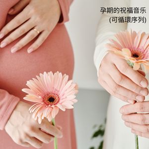 孕育之声的礼赞 (可循環序列)