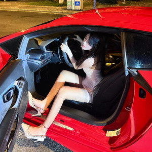 山海意难平 (DJ版)