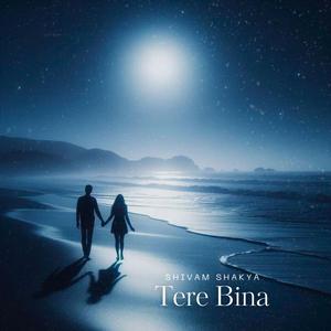 Tere Bina