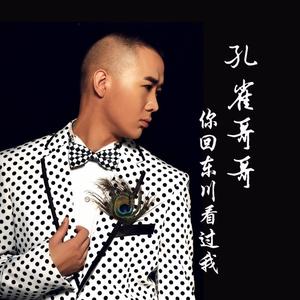 你回东川看过我