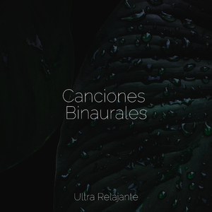 Deja Que Todo Se Vaya