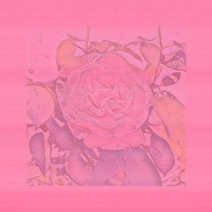 花 (Prod by Yzz Beats & WayMen)