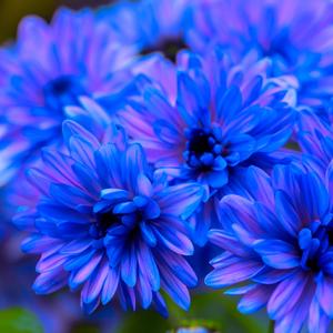 The Conflict Of The Mind (Instrumental)