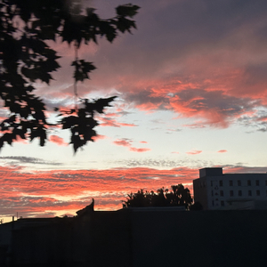 再见只是陌生人5.wav