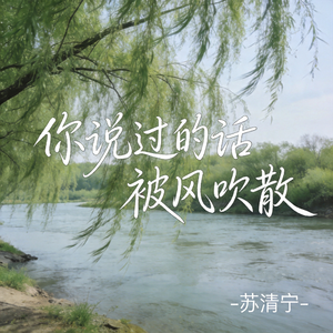 你说过的话被风吹散