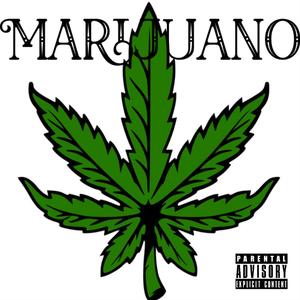 Marijuano