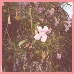 DON'T TAKE MY SOUL. (feat. Milton)