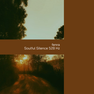 Soulful Silence 528 Hz