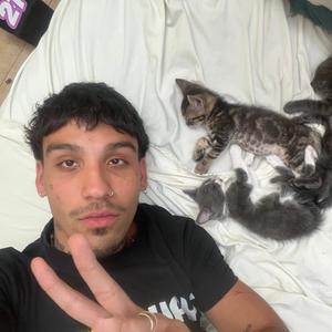 Cuanto valgo? (feat. Ssaki42)