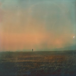 In Your Quiet Gravity