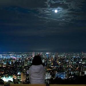 这一生关于你的风景