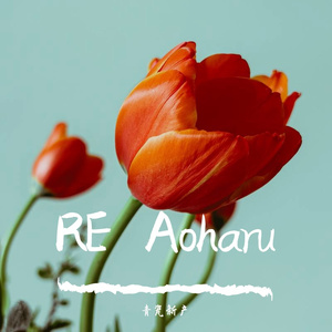 Blue Archive-RE Aoharu（青瓷 remix）
