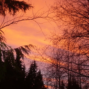 when u wore my coat (Prod. DYL)