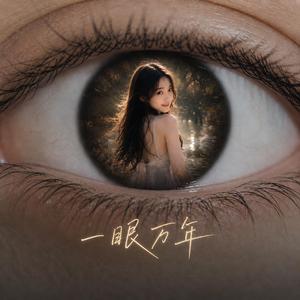 一眼万年