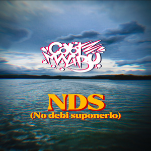 Nds (No Debí Suponerlo)