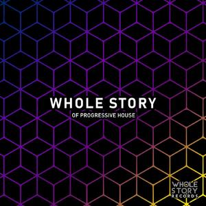 Fallout (Sonny Noto Remix)