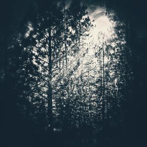 Sunny Days (freeverse)