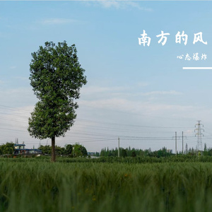 南方的风