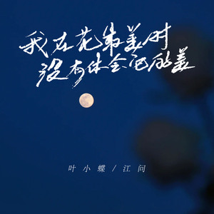 我在花最美时没有体会到它的美