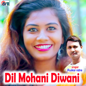 Dil Mohani Diwani