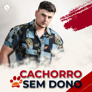 Cachorro Sem Dono