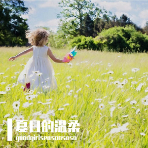 夏日的温柔