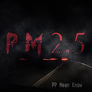 PM2.5（prod.by.9Zi）