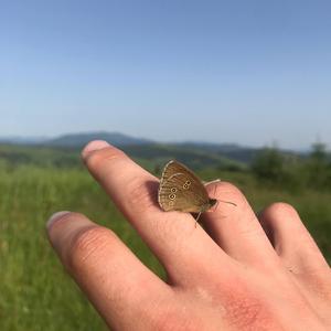 everything will be alright