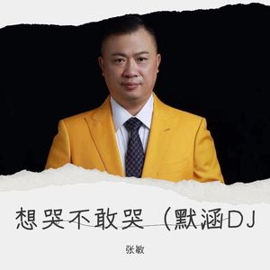 想哭不敢哭 (默涵DJ版伴奏)